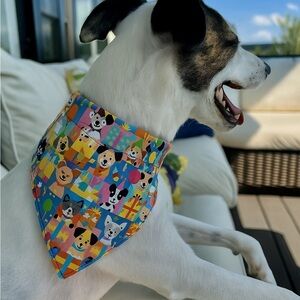 Colorful Birthday Over the Collar Dog Bandana